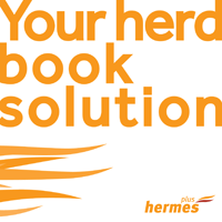 Herms Plus Logo